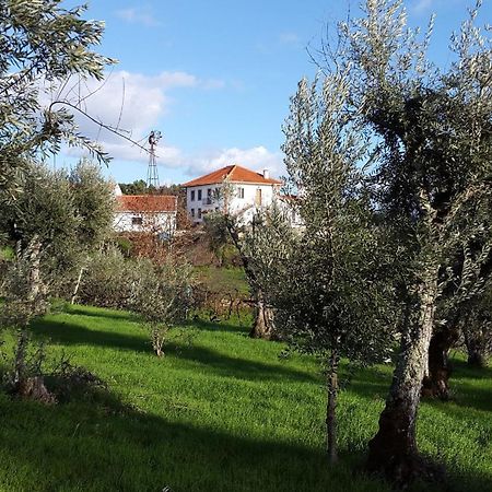Quinta Quatro Ventos Bed and Breakfast Sertã Exteriör bild