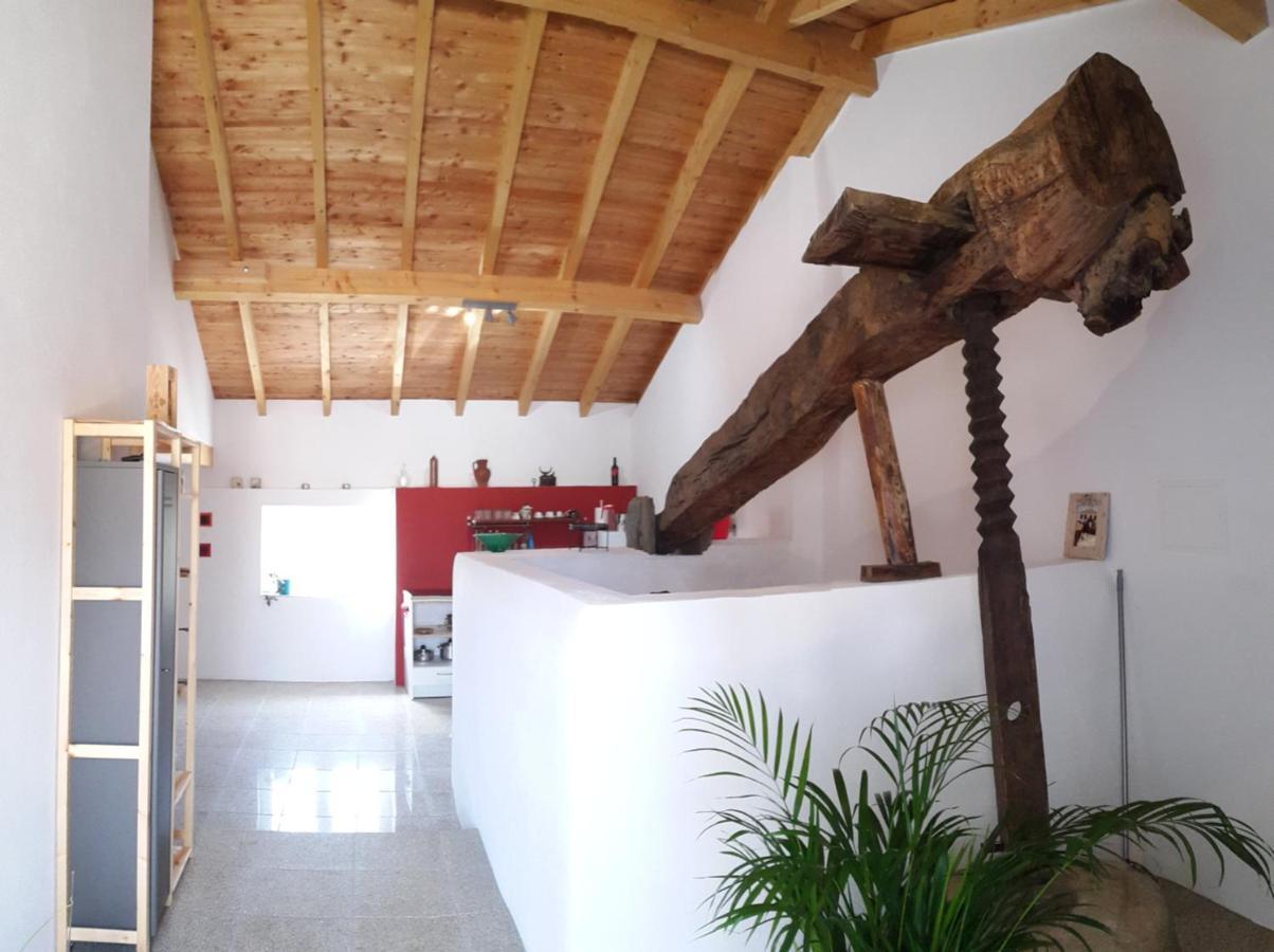 Quinta Quatro Ventos Bed and Breakfast Sertã Exteriör bild
